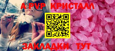 гидра Тверь