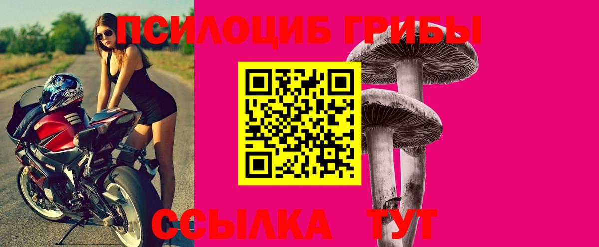 Псилоцибиновые грибы Psilocybe Чусовой